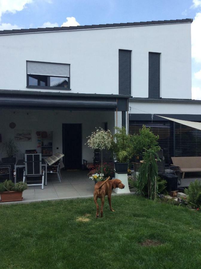 Private Zimmervermietung "Appartement Rosi" Reisbach Eksteriør billede